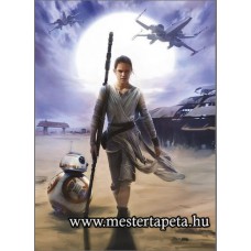 Star Wars Rey poszter 4-448