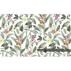 Cuisine Kitchen tapéta 918786