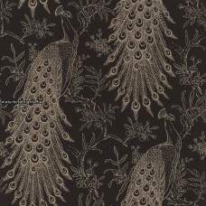 Denzo II. tapéta 405811