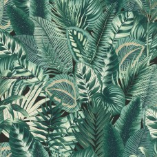 Denzo II. tapéta 833942