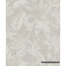 Kalahari tapéta 704129 Kalahari tapéta 704129