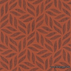 Kalahari tapéta 704655