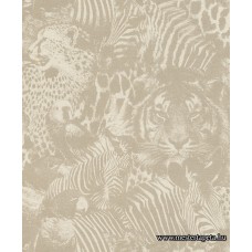 Kalahari tapéta 704716