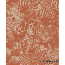 Kalahari tapéta 704723