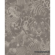 Kalahari tapéta 704730