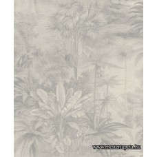 Kerala tapéta 501136