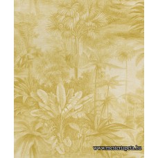 Kerala tapéta 551150