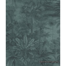 Kerala tapéta 551174