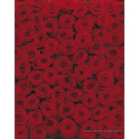 Vörös rózsák poszter 4-077