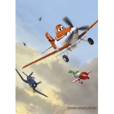 Repcsik poszter 4-452