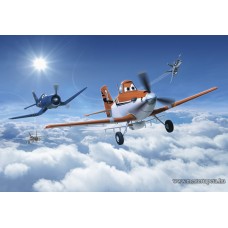 Repcsik poszter 8-465