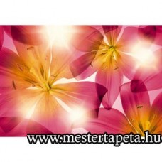 Virágok poszter 8-928