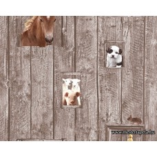 Little Stars tapéta 35842-2