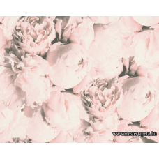 New Studio 2.0 tapéta 37398-2