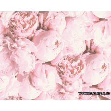 New Studio 2.0 tapéta 37398-3