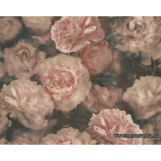 New Studio 2.0 tapéta 37402-2