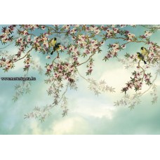 Sakura poszter 8-213